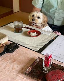 朝倉の里 利休庵（福井市）